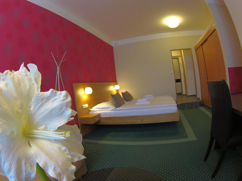 Hotel Vacek Pod Vezi Χράντεκ Κράλοβε Εξωτερικό φωτογραφία