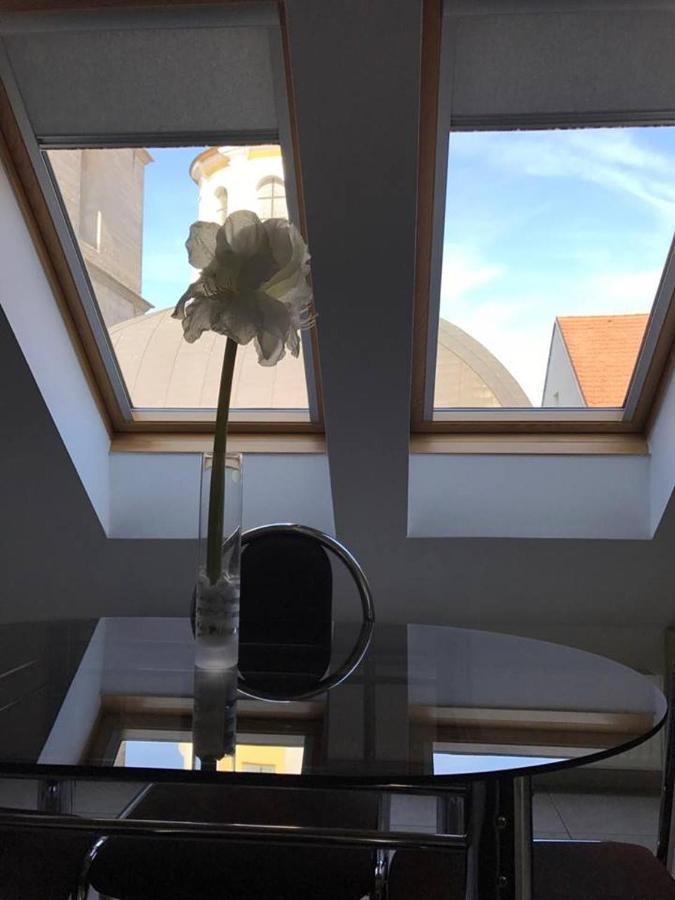 Hotel Vacek Pod Vezi Χράντεκ Κράλοβε Εξωτερικό φωτογραφία